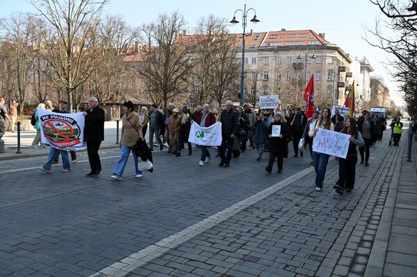 Участники акции подчеркивают, что власти должны сохранять леса в стране. - Sputnik Литва