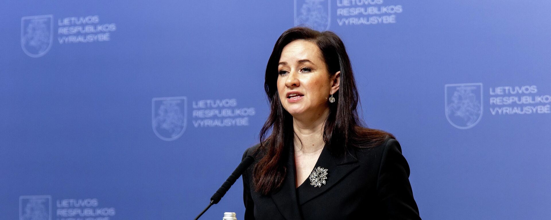 Премьер-министр Литвы Инга Ругинене - Sputnik Литва, 1920, 31.03.2026