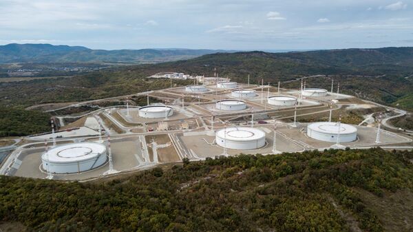 Нефтехранилище Каспийского трубопроводного консорциума (КТК-Р) в Краснодарском крае, архивное фото - Sputnik Литва