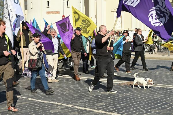 Считается, что так физики "извиняются" за то, что Дино Завр когда-то съел студентку филфака. - Sputnik Литва