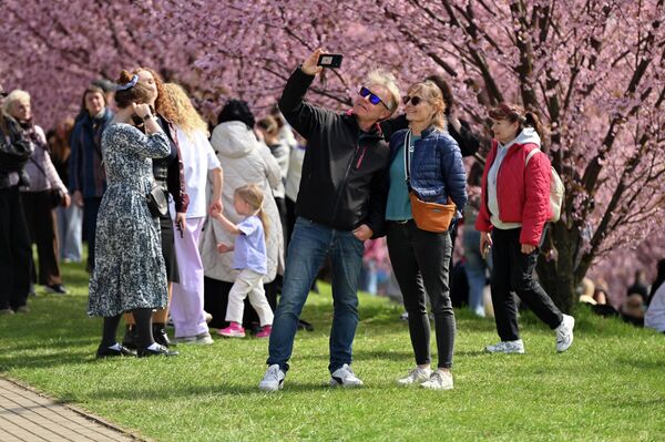 Парк сакур имени Тиунэ Сугихары был открыт в октябре 2001 года. В парке высажена аллея из 200 японских сакур. - Sputnik Литва