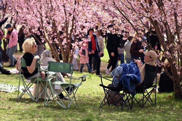 Но если погода плохая, с ветром и дождями, лепестки могут опасть уже на пятый день. - Sputnik Литва