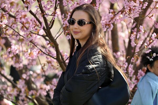 На фото: девушка фотографируется с цветущей сакурой в парке Вильнюса. - Sputnik Литва