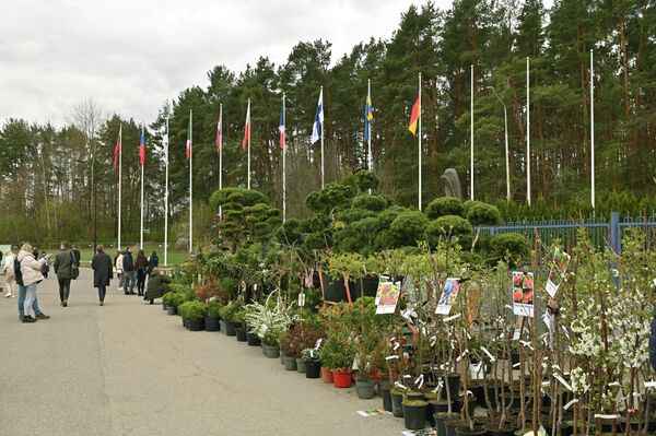 Посетители могли подобрать растения, товары для сада, предметы для дома, ремесленные изделия и фермерские продукты. - Sputnik Литва