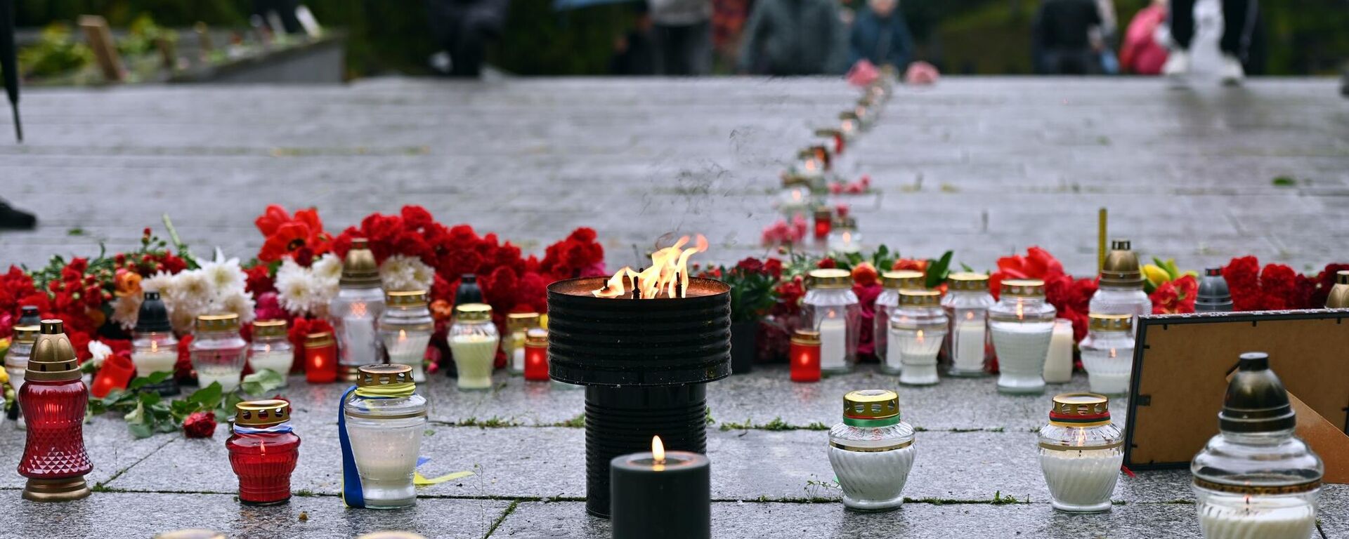 Жители Литвы в День Победы принесли цветы и фотографии к снесенному мемориалу на Антакальнисском кладбище в Вильнюсе - Sputnik Литва, 1920, 09.05.2026