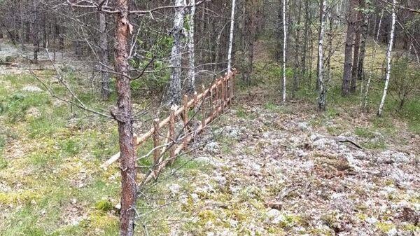 В Литве поймали поляка при попытке перелезть через забор в Белоруссию

 - Sputnik Литва