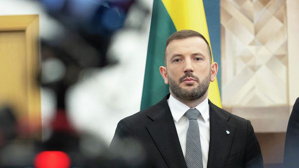 Депутат Европарламента и глава Демократического союза Во имя Литвы Виргиниюс Синкявичюс - Sputnik Литва