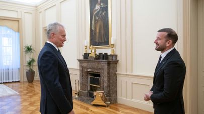 Президент Литвы Гитанас Науседа и глава Демократического союза "Во имя Литвы" Виргиниюс Синкевичюс