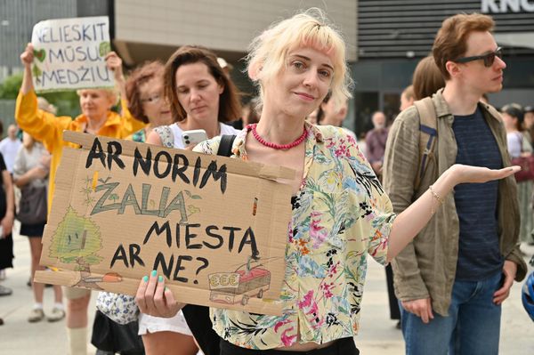 На фото: участница акции протеста держит плакат с надписью: "Мы хотим зеленый город, не так ли?" - Sputnik Литва