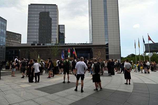 По словам организаторов акции, территории в Жирмунай и парке Вингис официально отнесены к общественным природным рекреационным зонам для отдыха и досуга на природе. - Sputnik Литва