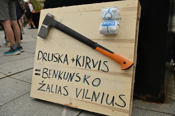 Протестующие недовольны политикой мэра столицы Валдаса Бенкунскаса. На фото: инсталляция: "Соль + топор = зеленый Вильнюс Бенкунскасa". - Sputnik Литва