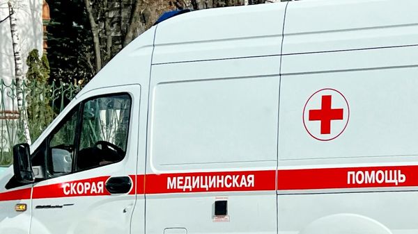 Автомобиль скорой помощи, архивное фото - Sputnik Литва
