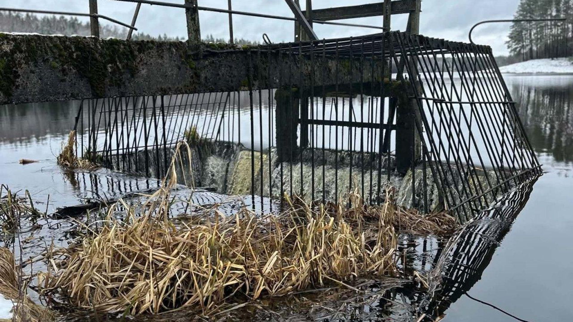 Плотина водоема Юре в Казлу-Рудском самоуправлении Литвы, архивное фото Плотина водоема Юре в Казлу-Рудском самоуправлении Литвы, архивное фото - Sputnik Литва, 1920, 04.07.2026