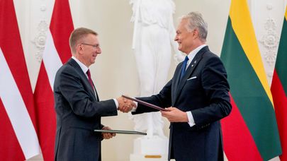 Президент Литвы Гитанас Науседа и президент Латвии Эдгар Ринкевич