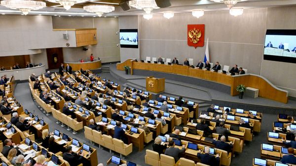 Пленарное заседание Госдумы РФ, архивное фото - Sputnik Литва