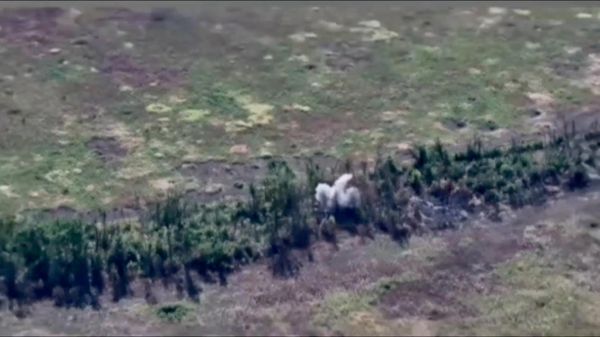 Удары по местам скопления тыловых резервов и передовых частей ВСУ в городе Орехов - Sputnik Литва