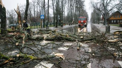 Последствия шторма в Литве