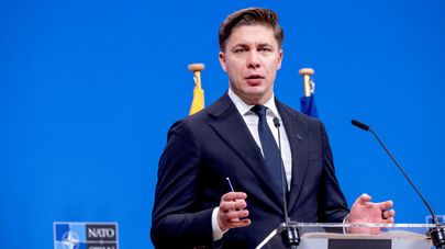 Премьер-министр Литвы Миндаугас Синкявичюс