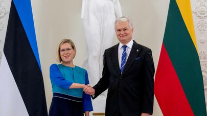 Президент Эстонии Юлле Мадизе и президент Литвы Гитанас Науседа