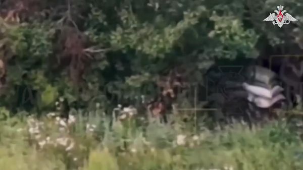 Освобождение населенного пункта Алисовка - Sputnik Литва