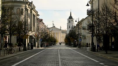 Вид на Кафедральный собор в Вильнюсе