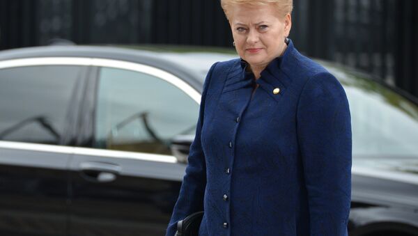 Президент Литвы Даля Грибаускайте, архивное фото - Sputnik Литва