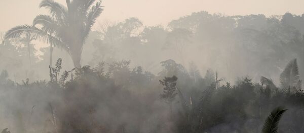 Пожары в Амазонии, 14 августа 2019 года Пожары в Амазонии, 14 августа 2019 года - Sputnik Lietuva