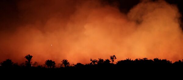 Пожары в Амазонии, 17 августа 2019 года Пожары в Амазонии, 17 августа 2019 года - Sputnik Lietuva