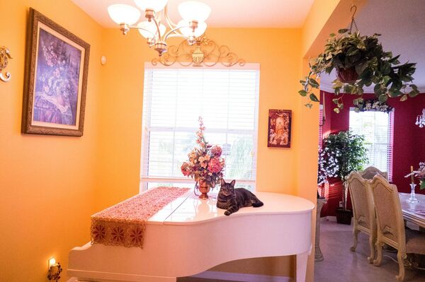 Gruodžio 9 dienos horoskopas visiems zodiako ženklams Gruodžio 9 dienos horoskopas visiems zodiako ženklams - Sputnik Lietuva