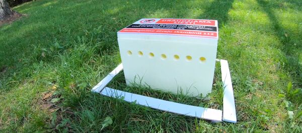 В Вильнюсе тестируют ловушки для клещей - Sputnik Литва