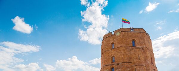 Башня Гедиминаса в Вильнюсе, архивное фото - Sputnik Литва