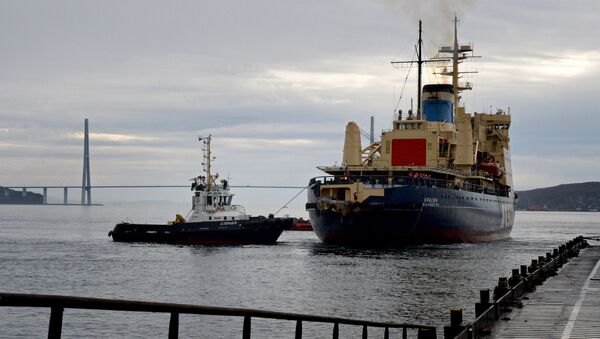 Прибытие ледокола Красин в порт Владивостока, архивное фото - Sputnik Литва