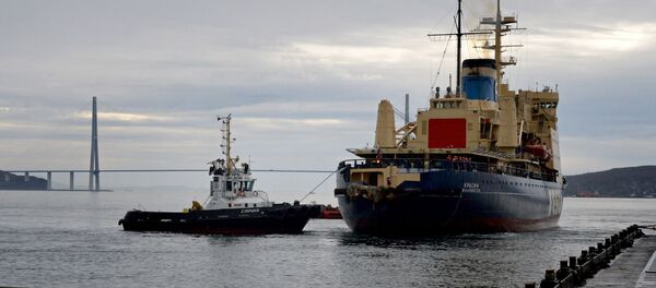Прибытие ледокола Красин в порт Владивостока, архивное фото Прибытие ледокола Красин в порт Владивостока, архивное фото - Sputnik Lietuva