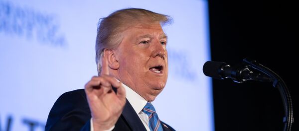 Президент США Дональд Трамп, архивное фото Президент США Дональд Трамп, архивное фото - Sputnik Lietuva