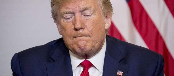 Президент США Дональд Трамп, архивное фото Президент США Дональд Трамп, архивное фото - Sputnik Lietuva