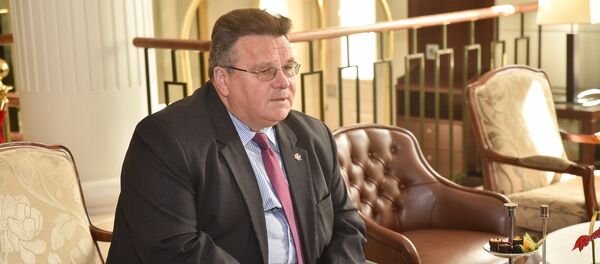 Министр иностранных дел Литвы Линас Линкявичюс, архивное фото Министр иностранных дел Литвы Линас Линкявичюс, архивное фото - Sputnik Lietuva