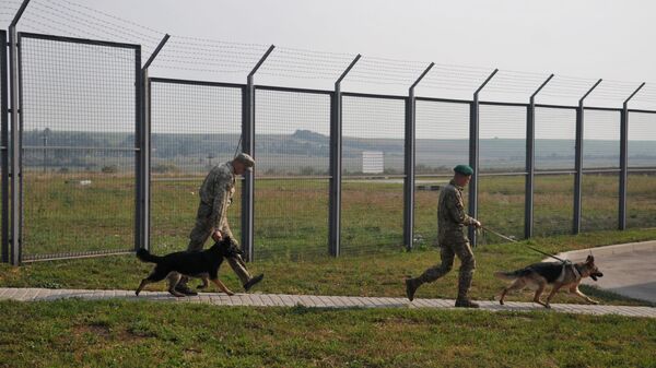 Пограничники с собаками, архивное фото - Sputnik Литва