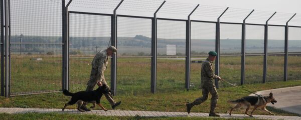 Пограничники с собаками, архивное фото - Sputnik Литва
