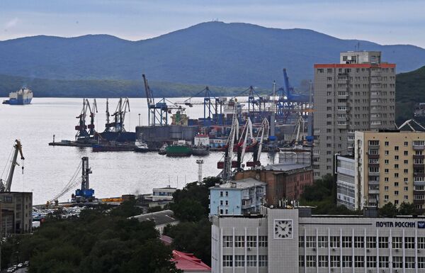 Вид на Владивостокский морской торговый порт - Sputnik Литва
