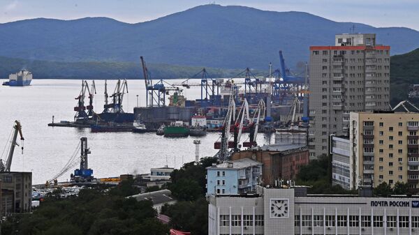 Вид на Владивостокский морской торговый порт - Sputnik Литва