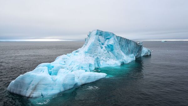 Арктический архипелаг Земля Франца-Иосифа, архивное фото - Sputnik Lietuva
