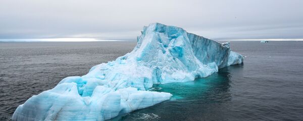 Арктический архипелаг Земля Франца-Иосифа, архивное фото Арктический архипелаг Земля Франца-Иосифа, архивное фото - Sputnik Lietuva