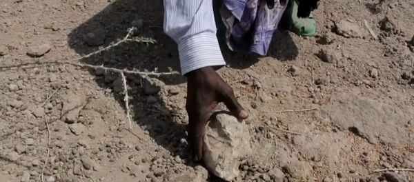 Ученые воссоздали лицо предка древнейшего человека Ученые воссоздали лицо предка древнейшего человека - Sputnik Lietuva