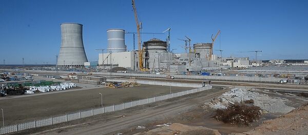 Яблоко раздора: Латвия и Литва ссорятся из-за БелАЭС - Sputnik Литва