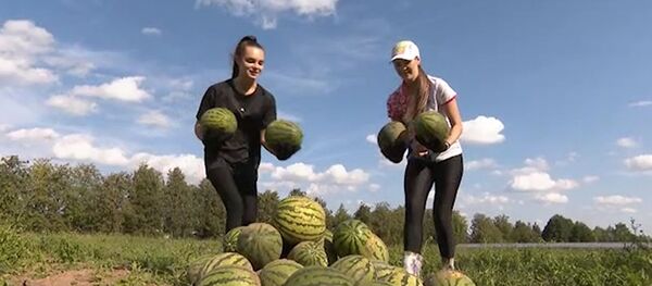 Арбузы Лукашенко Арбузы Лукашенко - Sputnik Lietuva