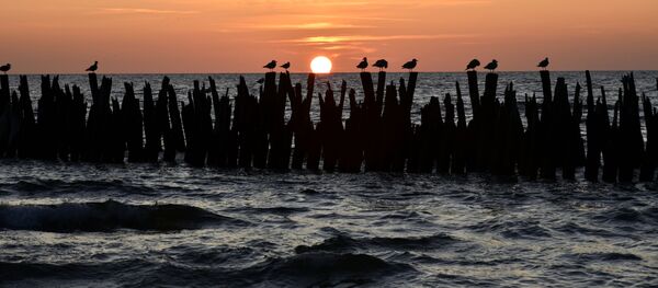 Закат в Паланге, архивное фото - Sputnik Литва