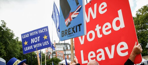 Сторонник Брексита и анти-Брексита протестуют возле здания Парламента в Лондоне, Великобритания, 5 сентября 2019 года - Sputnik Литва