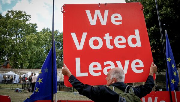 Сторонникпротеста против Brexit протестуют между флагами Европейского Союза возле здания парламента в Лондоне, Великобритания, 5 сентября 2019 года - Sputnik Lietuva