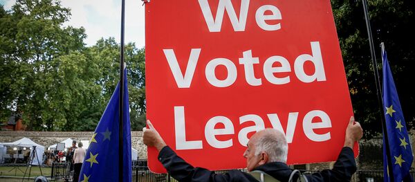 Сторонникпротеста против Brexit протестуют между флагами Европейского Союза возле здания парламента в Лондоне, Великобритания, 5 сентября 2019 года Сторонникпротеста против Brexit протестуют между флагами Европейского Союза возле здания парламента в Лондоне, Великобритания, 5 сентября 2019 года - Sputnik Lietuva