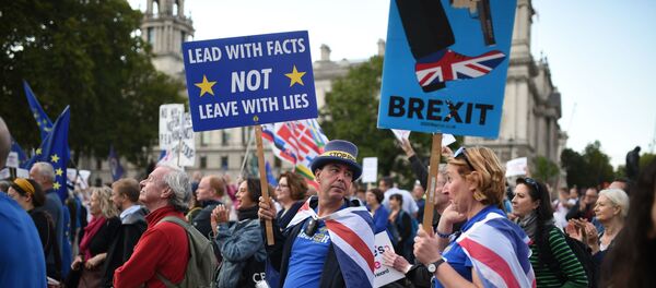 Участники кампании по борьбе с брекситом в центре Лондона, 4 сентября 2019 года Участники кампании по борьбе с брекситом в центре Лондона, 4 сентября 2019 года - Sputnik Литва